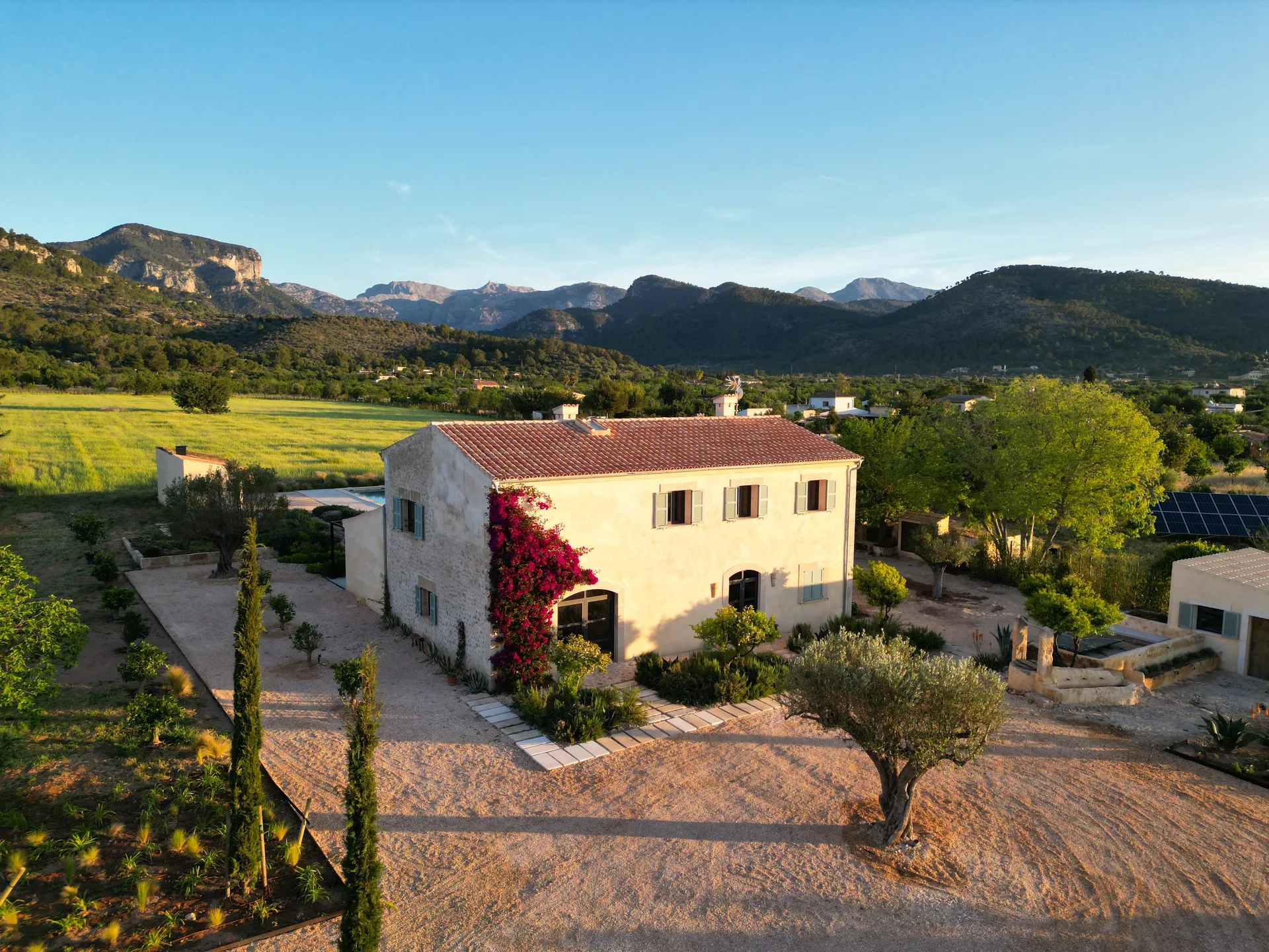 Casa Mana at golden hour — the finca with bougainvillea, olive trees and the Tramuntana mountains beyond