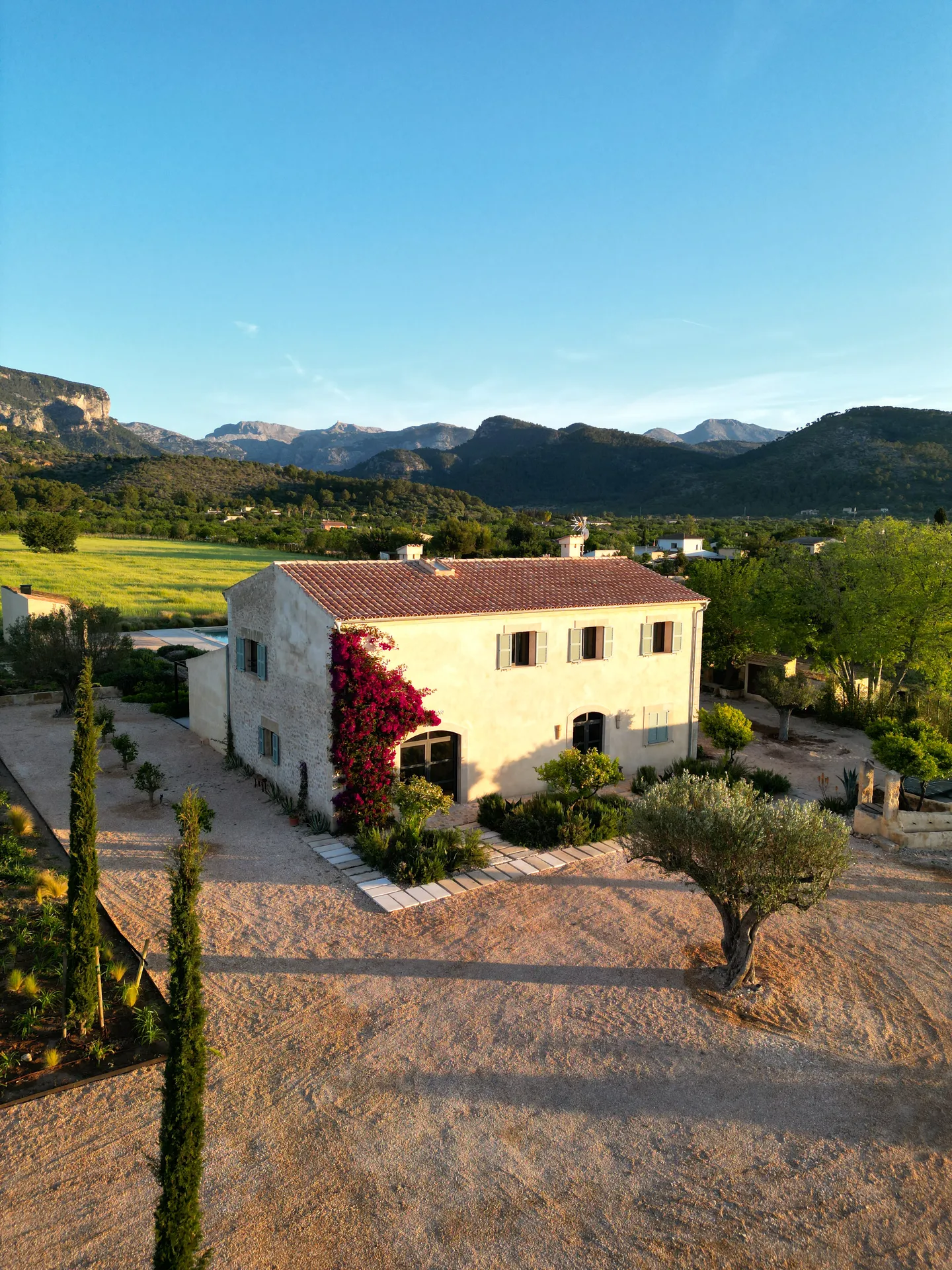 Casa Mana — the finca with bougainvillea, olive trees and the Tramuntana mountains at golden hour