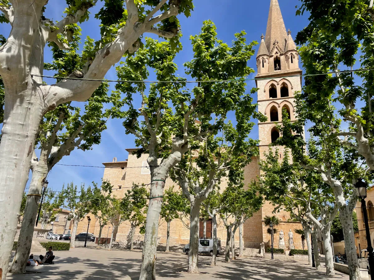 Binissalem village square — platane trees, the church tower and unhurried morning life