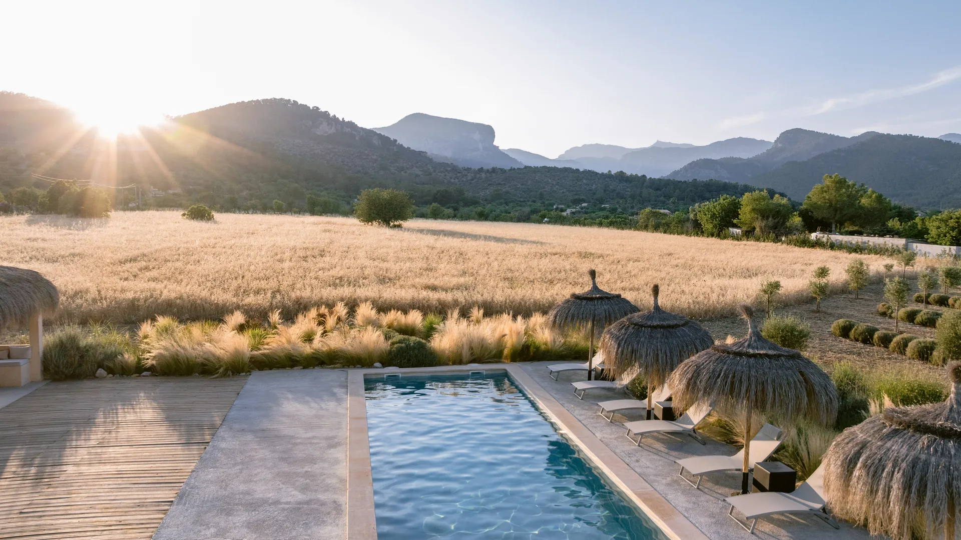 Golden wheat fields stretching toward the Tramuntana mountains at sunset — the view from Casa Mana